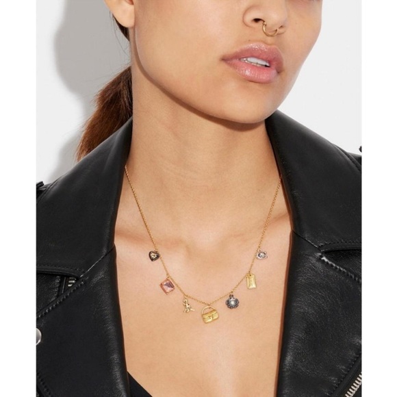 NWT Coach Signsture Tabby Charm Necklace - Picture 2 of 5